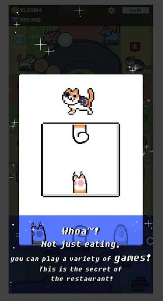 Cat Restaurant!