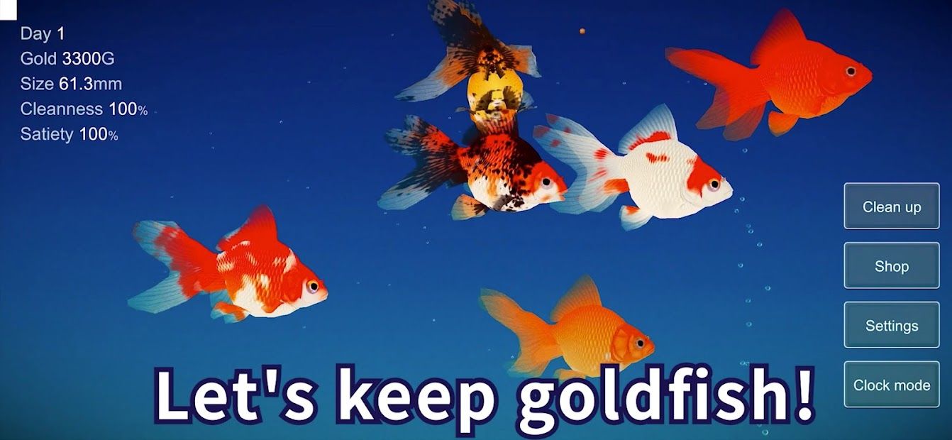 Goldfish 3D Relaxing Aquarium