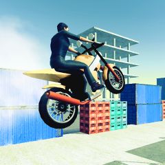 Biker Rider 3D