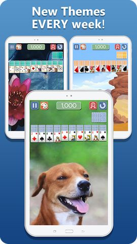 Spider Solitaire Deluxe® 2