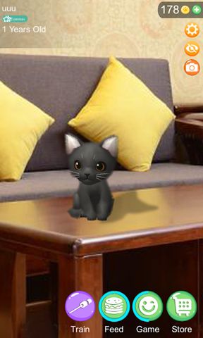 AR Cat