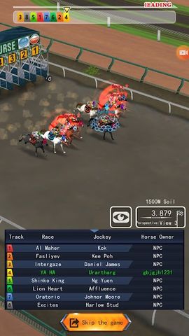 Stallion Race