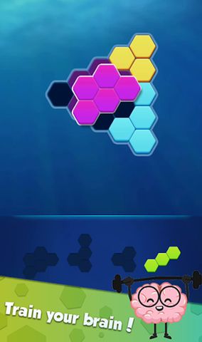 Hexa Puzzle: Triangle Block