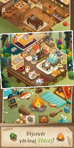 Secret Cat Forest