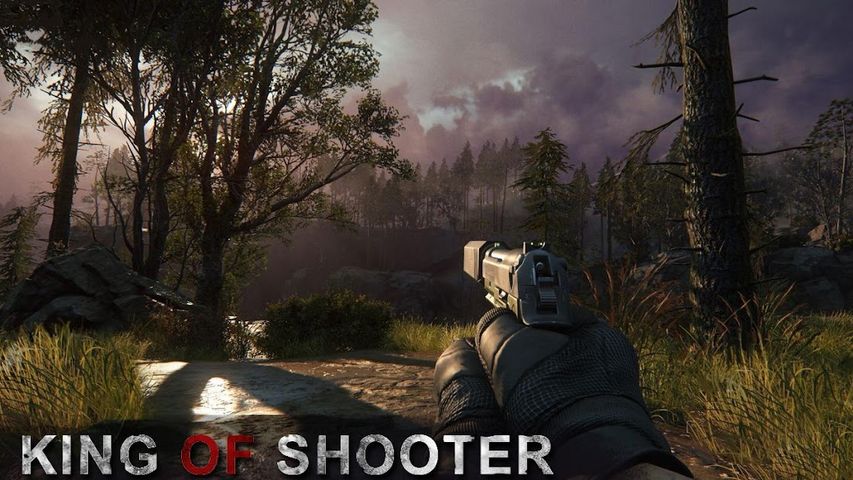 King Of Shooter : Shot Killer