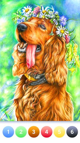 Coloring Magic:Paint by Number