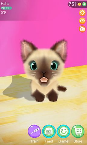 AR Cat