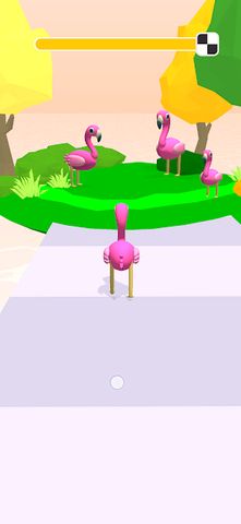 Animal Evolution