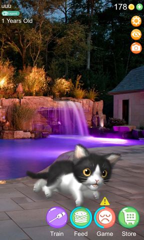 AR Cat