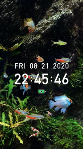 Tropical Fish Tank - Mini Aqua