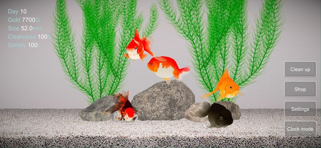 Goldfish 3D Relaxing Aquarium