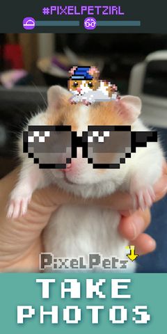 Pixel Petz