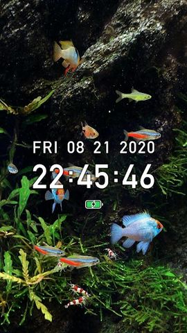 Tropical Fish Tank - Mini Aqua