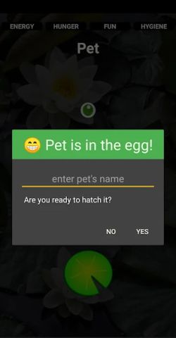Wander Pet