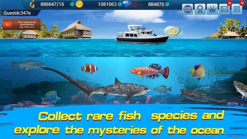 Fishing Championship