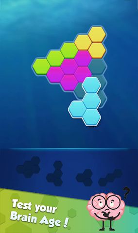 Hexa Puzzle: Triangle Block