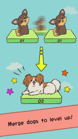 Cute dogs