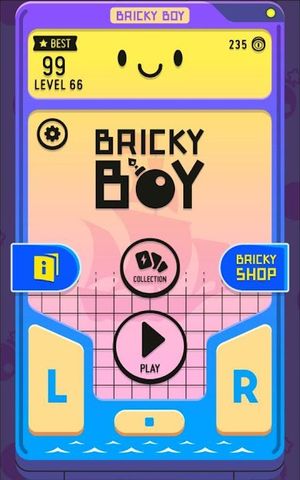Bricky Boy