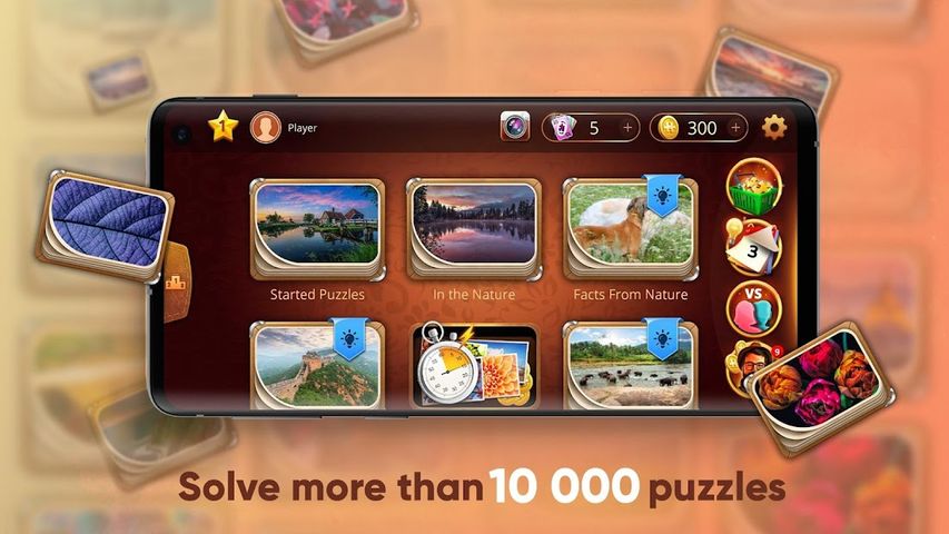 Puzzle Go