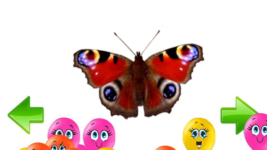 Coloring book - Learn coloring and drawing