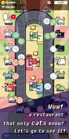 Cat Restaurant!