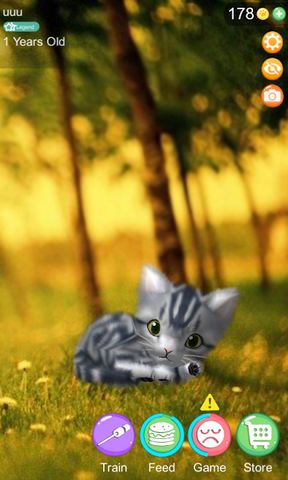 AR Cat