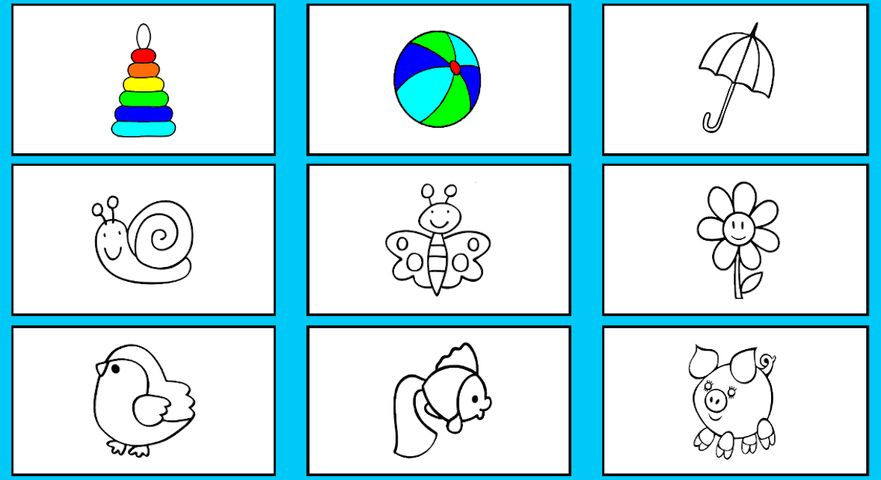 Coloring book - Learn coloring and drawing