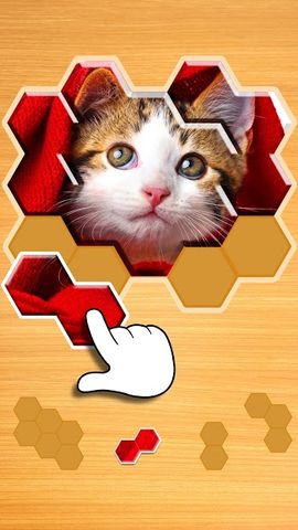 Jigsaw Puzzles Hexa 🧩🔥🎯