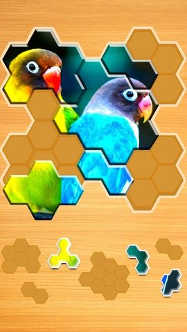 Jigsaw Puzzles Hexa 🧩🔥🎯