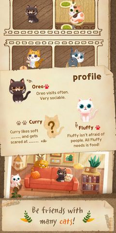 Secret Cat Forest