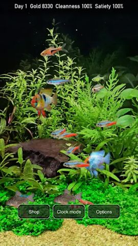 Tropical Fish Tank - Mini Aqua