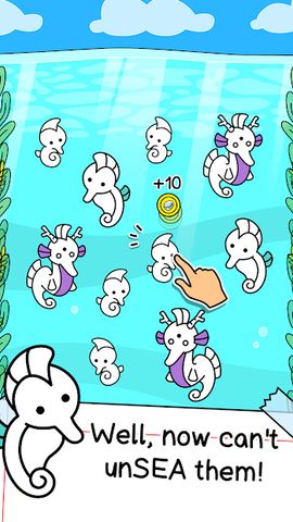Seahorse Evolution: Sea Mutant