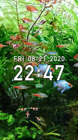 Tropical Fish Tank - Mini Aqua