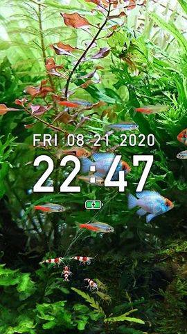 Tropical Fish Tank - Mini Aqua