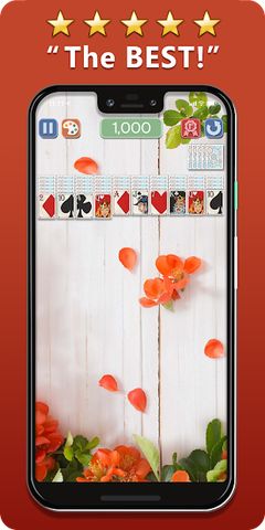Spider Solitaire Deluxe® 2