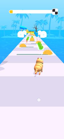 Animal Evolution