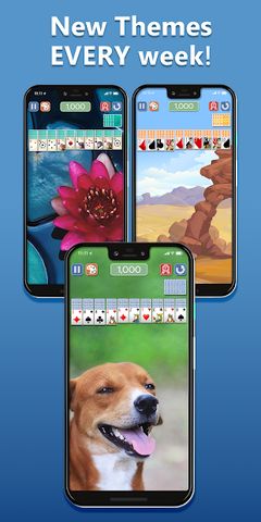 Spider Solitaire Deluxe® 2