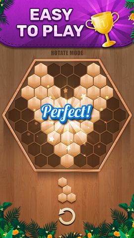 Wooden 100 Block Puzzle Game