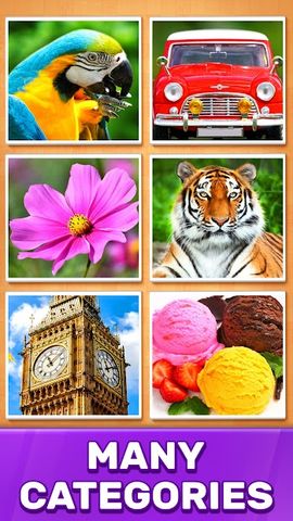 Jigsaw Puzzles Blocks