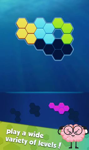 Hexa Puzzle: Triangle Block