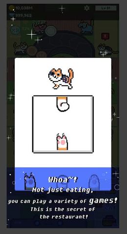 Cat Restaurant!