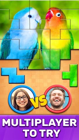 Jigsaw Puzzles Blocks