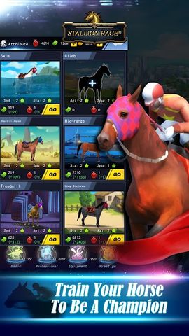 Stallion Race