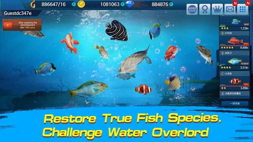 Fishing Championship