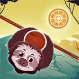 Zoo Animal Jump