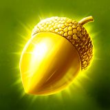 Forest Bounty — collect & cook