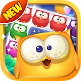 Owl Block Blast-Free Puzzle Games