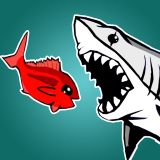 Fish Royale - Shark Adventures